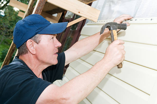 Best Insulated Siding Installation  in Saranac, MI