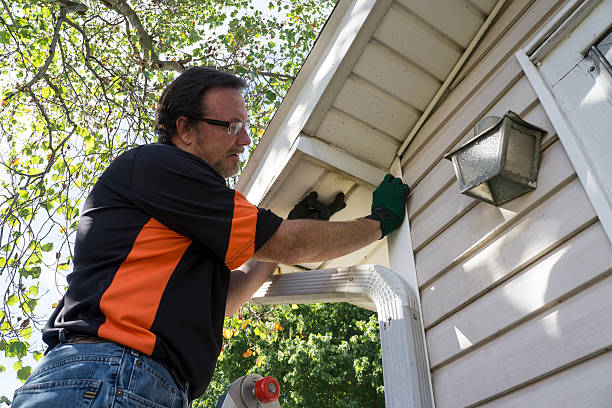 Best Wood Siding Installation  in Saranac, MI